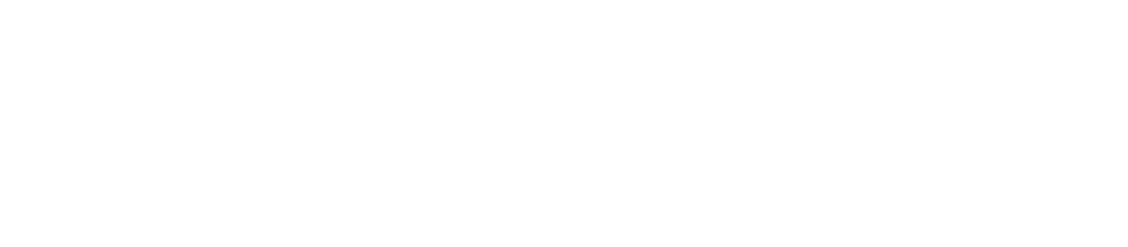 bagicams bag logo white